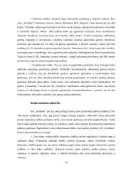 Projektų rizika: AB "Stumbras" 15 puslapis