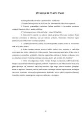Projektų rizika: AB "Stumbras" 17 puslapis
