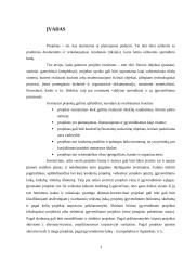 Projektų rizika: AB "Stumbras" 2 puslapis