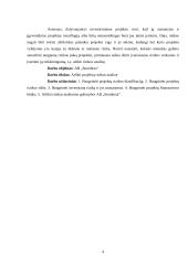 Projektų rizika: AB "Stumbras" 3 puslapis