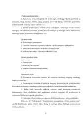 Projektų rizika: AB "Stumbras" 5 puslapis