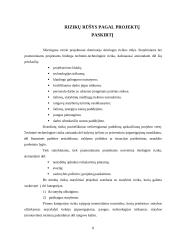Projektų rizika: AB "Stumbras" 7 puslapis