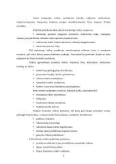 Projektų rizika: AB "Stumbras" 8 puslapis