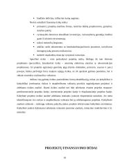 Projektų rizika: AB "Stumbras" 9 puslapis