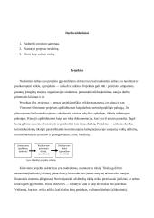 Projektų vadyba: struktūra, metodai, rizikos valdymas 2 puslapis