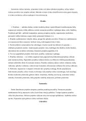 Projektų vadyba: struktūra, metodai, rizikos valdymas 11 puslapis