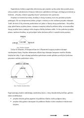 Projektų vadyba: struktūra, metodai, rizikos valdymas 3 puslapis