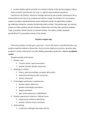 Projektų vadyba: struktūra, metodai, rizikos valdymas 4 puslapis