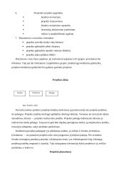 Projektų vadyba: struktūra, metodai, rizikos valdymas 5 puslapis