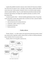 Projektų vadyba: struktūra, metodai, rizikos valdymas 6 puslapis