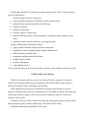 Projektų vadyba: struktūra, metodai, rizikos valdymas 7 puslapis