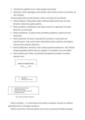 Projektų vadyba: struktūra, metodai, rizikos valdymas 10 puslapis