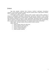 Projektų valdymo metodų praktinis taikymas, kuriant "Pagalbos centrą" 2 puslapis