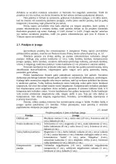 Projektų valdymo metodų praktinis taikymas, kuriant "Pagalbos centrą" 18 puslapis