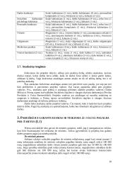 Projektų valdymo metodų praktinis taikymas, kuriant "Pagalbos centrą" 19 puslapis