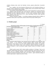 Projektų valdymo metodų praktinis taikymas, kuriant "Pagalbos centrą" 6 puslapis