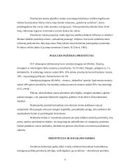 Prostitucija ir jos socialinės priežastys 6 puslapis