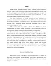 Protokoliniai moterų aprangos reikalavimai 3 puslapis