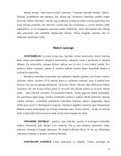 Protokoliniai moterų aprangos reikalavimai 4 puslapis