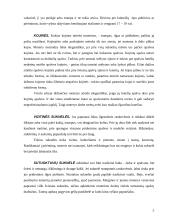 Protokoliniai moterų aprangos reikalavimai 5 puslapis