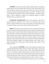 Protokoliniai moterų aprangos reikalavimai 8 puslapis