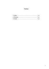 Psichokultūriniai atsakai į modernizaciją 7 puslapis