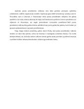 Pusiau prezidentinis valdymas 5 puslapis