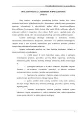 Puslaidininkiniai lazeriai ir jų panaudojimas 2 puslapis