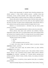 Racionalizmo ir empirizmo priešprieša 2 puslapis