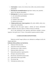 Radiacijos poveikis žmogaus organizmui 4 puslapis