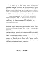 Radiacijos poveikis žmogaus organizmui 6 puslapis