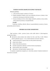 Radijo ryšio organizavimas valstybės sienos apsaugos tarnyboje (VSAT) 13 puslapis