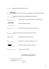 Radijo ryšio organizavimas valstybės sienos apsaugos tarnyboje (VSAT) 10 puslapis