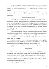 Radijo ryšio organizavimas VSAT 11 puslapis