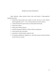 Radijo ryšio organizavimas VSAT 13 puslapis