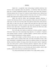 Radijo ryšio organizavimas VSAT 3 puslapis