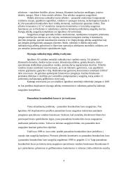 Radioaktyviųjų atliekų tvarkymas 4 puslapis