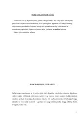 Radiotechnika 12 puslapis