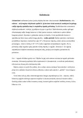 Radiotechnika 13 puslapis