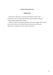 Radiotechnika 10 puslapis