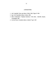 Rangų sistema ir darbas komandoje 17 puslapis