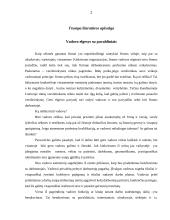 Rangų sistema ir darbas komandoje 3 puslapis