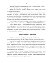 Rangų sistema ir darbas komandoje 10 puslapis