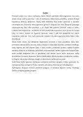 Rankų higienos svarba bei priemonės sveikatos priežiūros įstaigose 4 puslapis