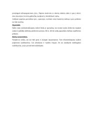 Rankų higienos svarba bei priemonės sveikatos priežiūros įstaigose 8 puslapis