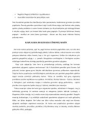 Rasės ir gyventojai 2 puslapis