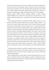 Rasės ir gyventojai 14 puslapis