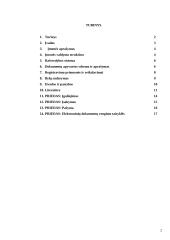 Raštvedybos sistemos analizė: automobilių pervežimas UAB "V" 2 puslapis