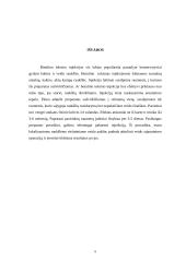 Raukšlės ir jų šalinimas 8 puslapis