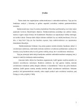 Reduktyvizmas ir antireduktyvizmas 2 puslapis